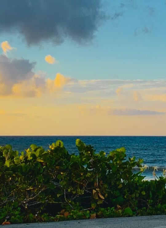 San Miguel de Cozumel