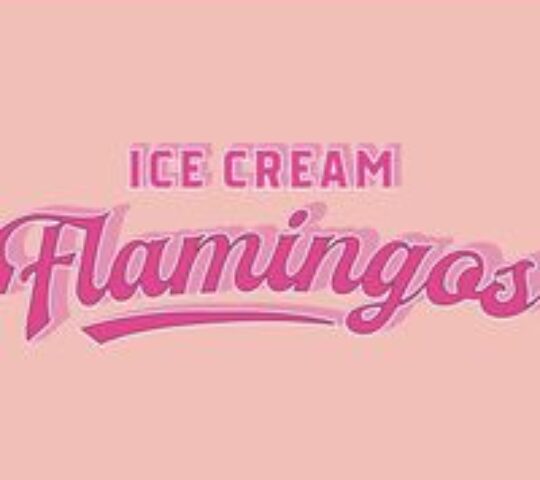 Flamingos Icecream bar