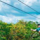 Awesome Flight Cozumel